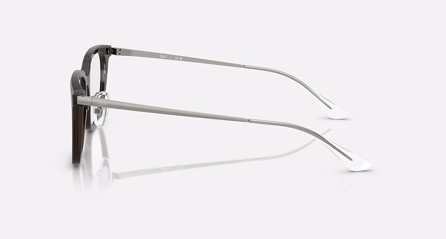 RB5442D OPTICS