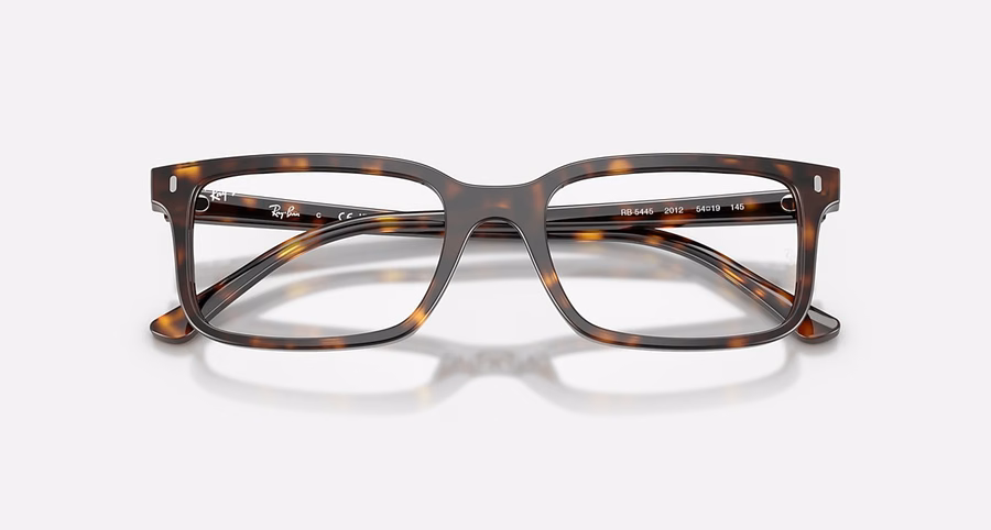 RB5445 OPTICS