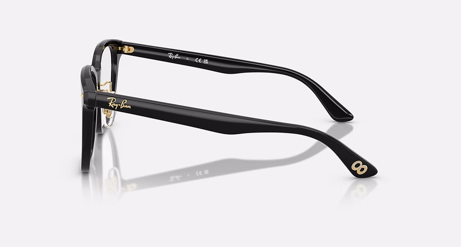 RB5425D OPTICS YEAR OF THE SNAKE EDITION