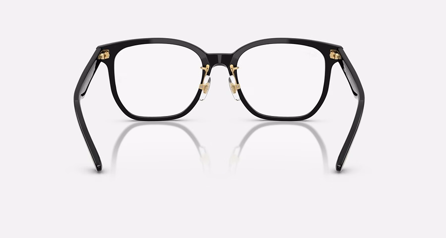RB5425D OPTICS YEAR OF THE SNAKE EDITION
