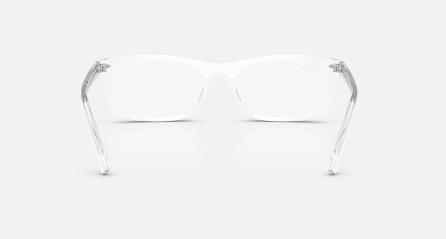 RB5450 OPTICS