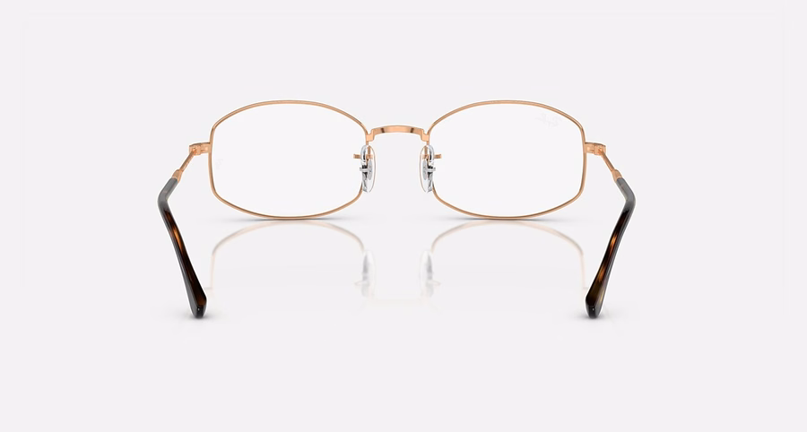 RB6510 OPTICS